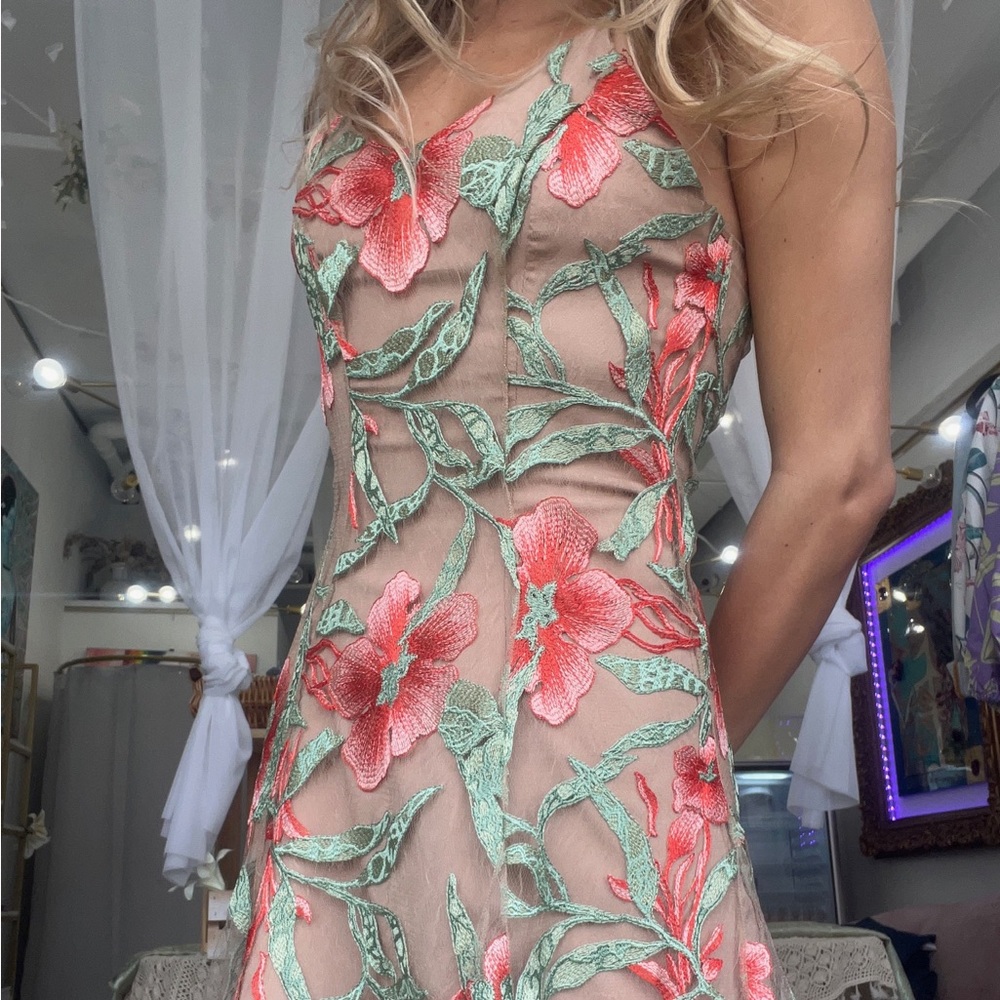 Dress the population sheer nude/red embroidered illusion gown.